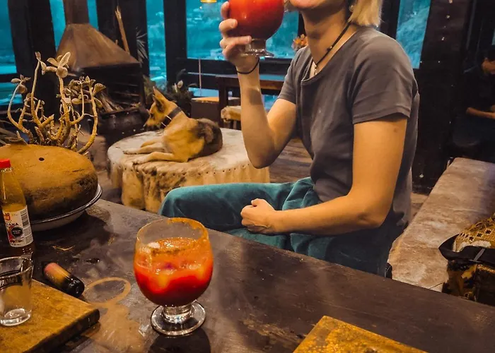 Wolf Totem Steam Punk Ostello